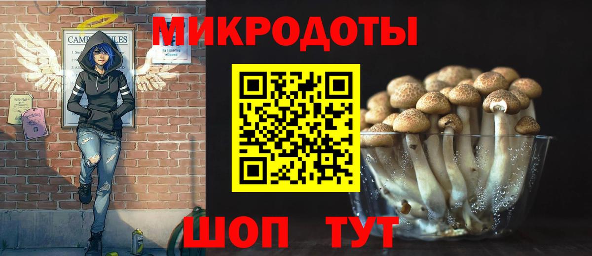 Псилоцибиновые грибы прущие грибы Благовещенск