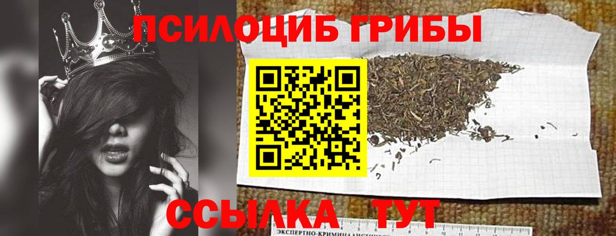 Благовещенск  Галлюциногенные грибы Cubensis  Вход с VPN 
